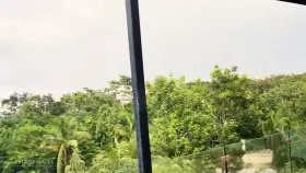 Look at this slave... so consumed by the hot sauce burning its dick that it fails to notice the beauty that Mother Earth is serving this afternoon. It's so important to find time to be grateful for the little things, and not get so caught up in the stress of everyday life 🌈 Sound on 🔈 [f] [nb]