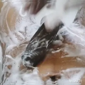 ⚠️Birthday 2mro. 25y Twink 🙈