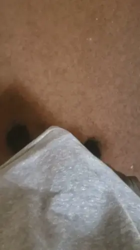 Love whipping out this thick cock