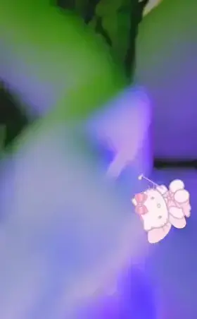 Do you want to see me go faster?