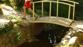 Pulling Up Dress In The Park