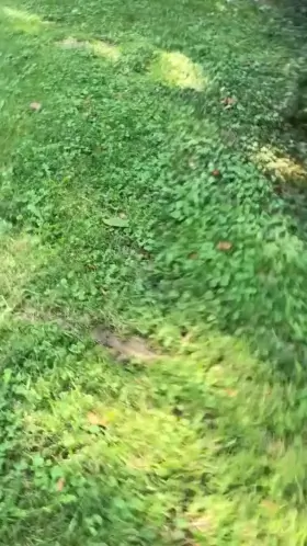 I spent Sunday morning on my knees in front of this guy 😇