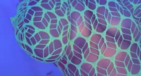 Still need a bbc to train this ass ;) snap- Cakedupx