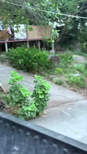 u/OliHeart driving around with a boob out.