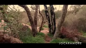 Getting naughty with an amazing view is the best 😋