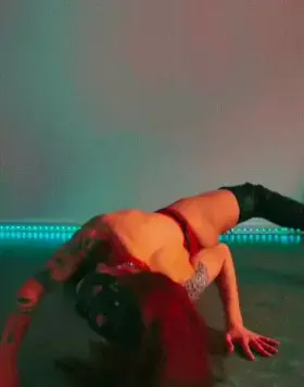 This naughty kitten wants to play