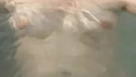 Thought you might like to see my tits in the tub…