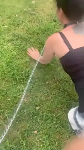 Daddy took me for my first walk today! ♥️⛓🐶