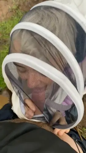 We always get sidetracked when beekeeping, who wants to join?