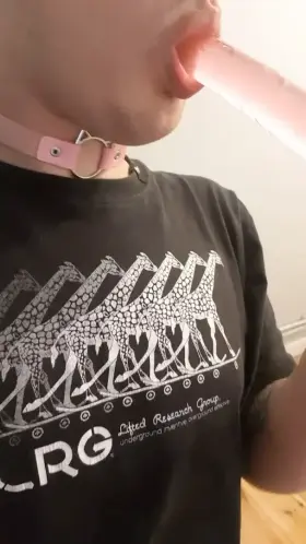 Daily training, but i want real one :(