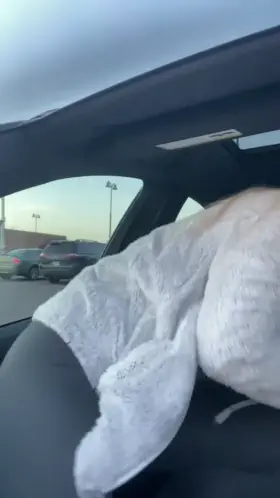 Anyone daring to have a quickie in the car with me?