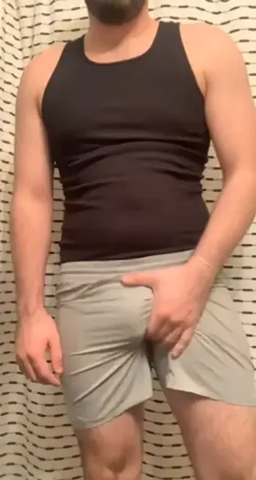 A thick cock and full balls….