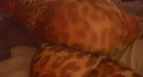 [f] I wanna make it clap for daddy