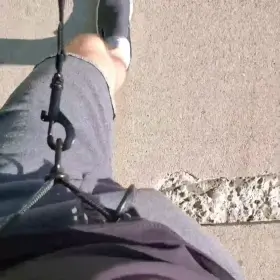 Doggo taking me for a fast stroll