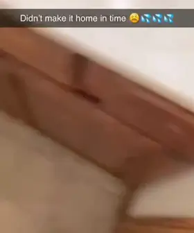 My throbbing Cop Cock dripping 🥵👮‍♀️🐴🍆💦 #bulge #monster