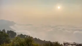 When the neighbors see you 🙈😜