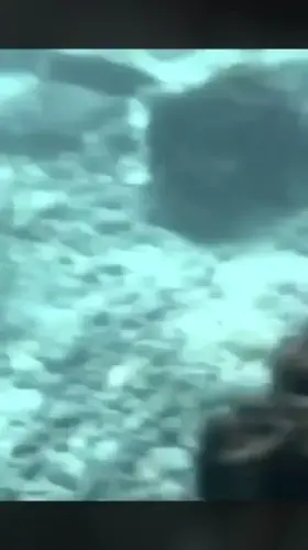 Swedish Mermaid 🧜🏼‍♀️