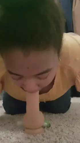 Kittens First Training session. [F]