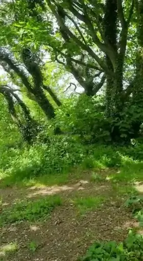 Went for a jog hope you don't mind me sharing ;)