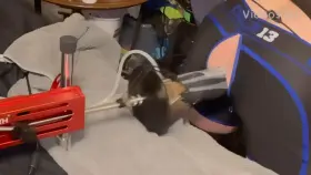 Got railed by XL Tyson this weekend 🖤