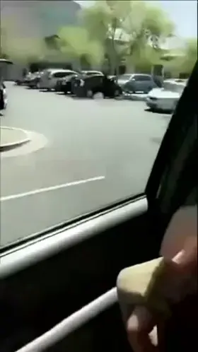 Car Rides Can Be Fun