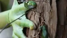 You never know what’s lurking in the woods