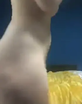 A zoom meeting with my college professor🙈