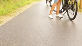 Long-legged Beauty Flashes At The Highway