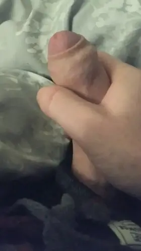 Average but looks well here