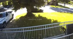 Hit and run driver returns to finish the job