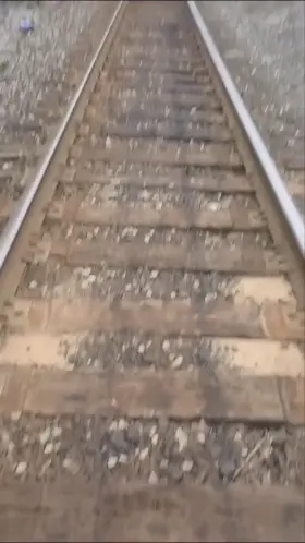 I like it risky, would you let me suck you like this?