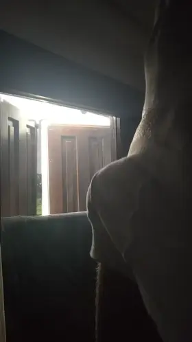 Morning wood and morning light