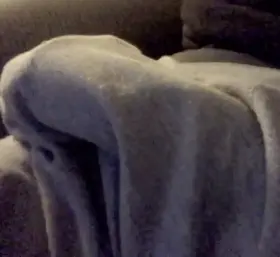 Rate my fat cock print in my sweats 😈🍆1-10?