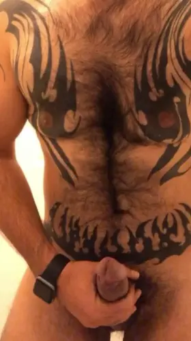 My big fat hairy cock