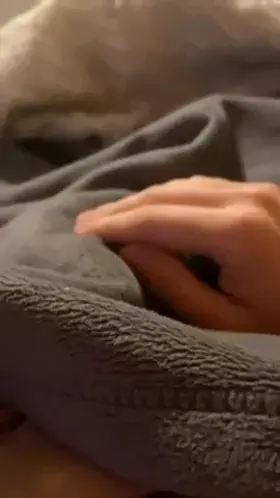 Let’s see what’s under the covers