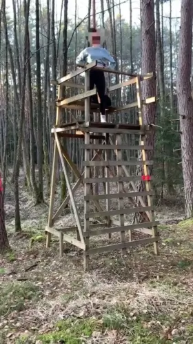 What would you have done i[f] you had seen me?