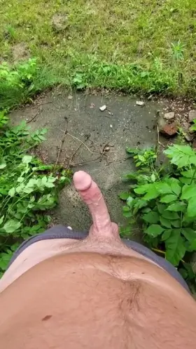 Just greeting the new neighbors (M)