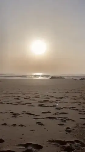 Sex on the beach [F]