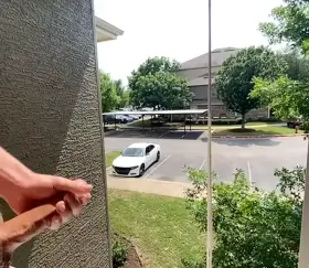 A busy day in the neighborhood