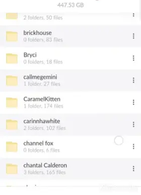 Check Comment For 450GB of Baddies😍🍑🍑 Collection with BG Xtapes👇👇