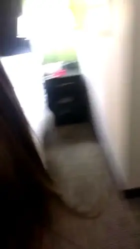 Flashing the pizza guy