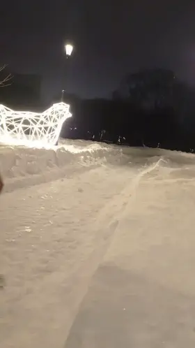 Walking naked in winter in a public park