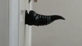 Backing up on a tentacle!