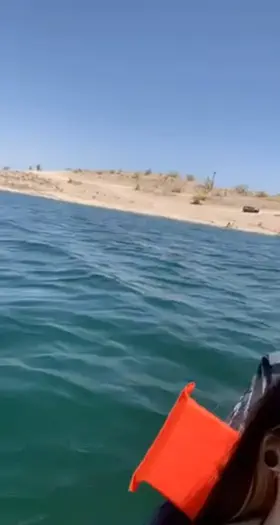 It’s time to embrace summer time (;