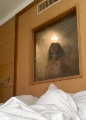 The hotel is renovating its bigger suites into multiple rooms and the couple next door hasn’t realized this frosted window in their shower still connects to the adjacent room