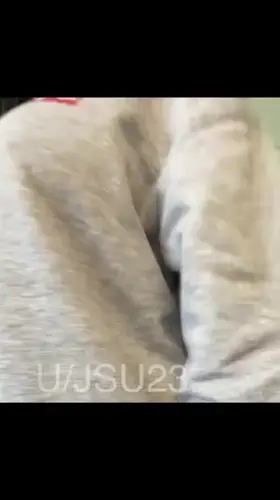 Let me reveal them here 🥰 f40