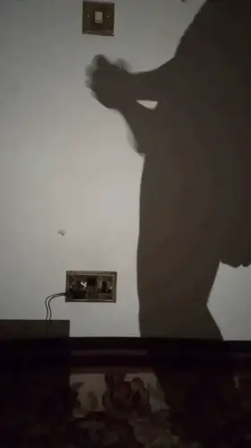 You can tell it's cut by the shadow😉