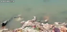 Many shortages since Covid hit