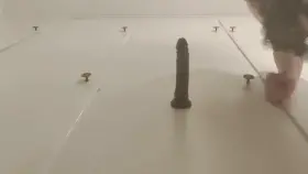 Will you replace my toy? I much rather have the real thing pounding me.