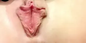 The social Butterfly